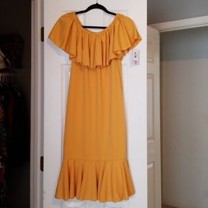 LulaRoe CiCi Dress